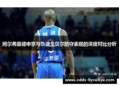 阿尔弗雷德申京与鲁迪戈贝尔防守表现的深度对比分析