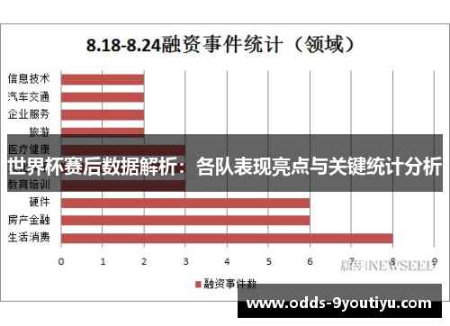 世界杯赛后数据解析：各队表现亮点与关键统计分析