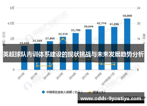 英超球队青训体系建设的现状挑战与未来发展趋势分析