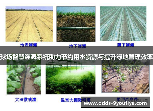 球场智慧灌溉系统助力节约用水资源与提升绿地管理效率