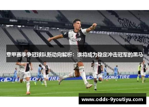 意甲赛季争冠球队新动向解析：谁将成为稳定冲击冠军的黑马