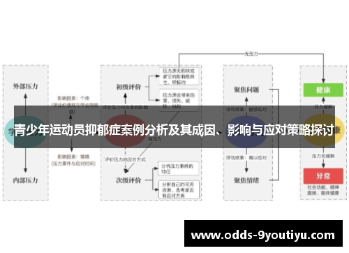 青少年运动员抑郁症案例分析及其成因、影响与应对策略探讨