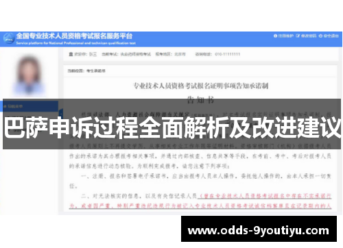 巴萨申诉过程全面解析及改进建议