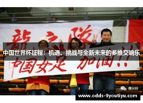 中国世界杯征程：机遇、挑战与全新未来的多维交响乐
